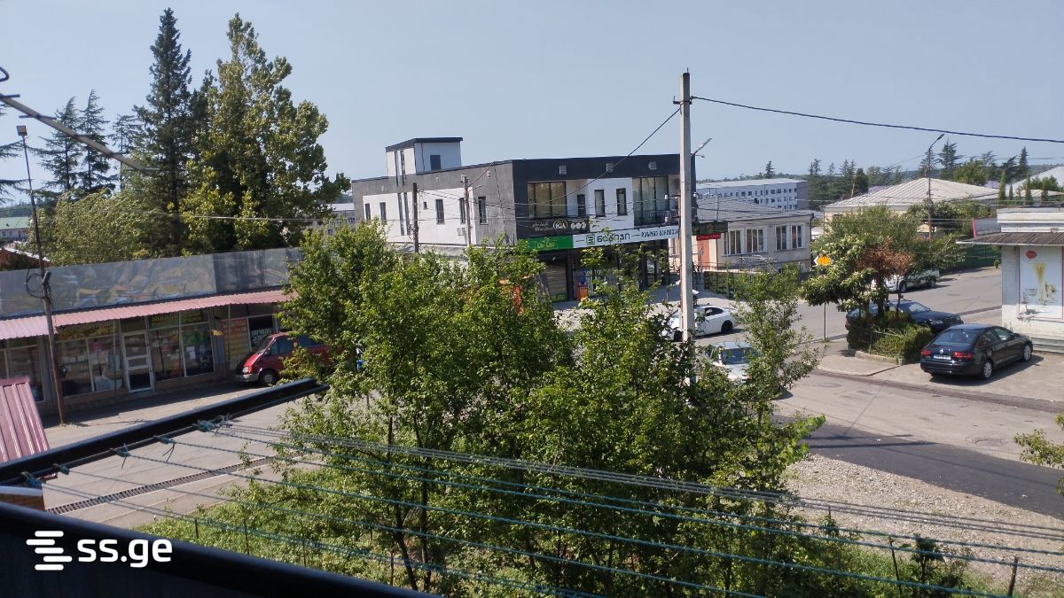 2 Room Flat Daily Rent. Tskaltubo view 9