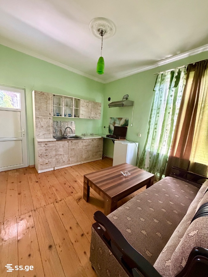3 Room Private House Daily Rent. Ambrolauri view 3