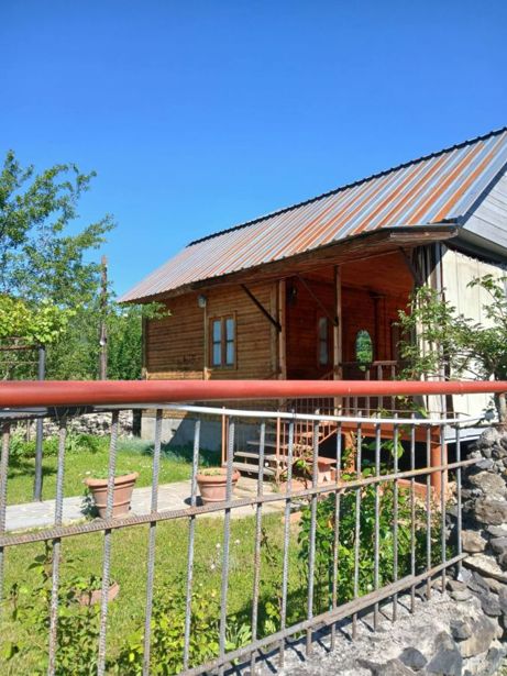 https://static.ss.ge/20260726/17_bc938c5c-dd34-4a7f-b175-f60fb24418c5_Thumb.jpg