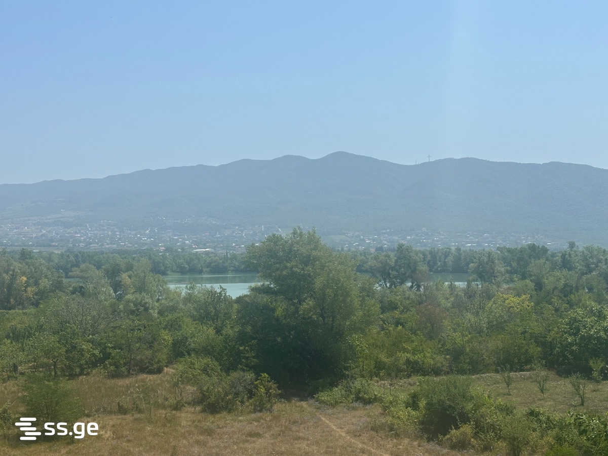 იყიდება მიწა ნატახტარიში view 1