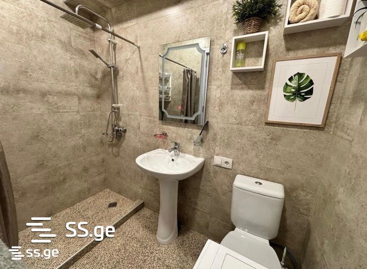 1 room Flat Daily rent. Didi digomi - Widok 4