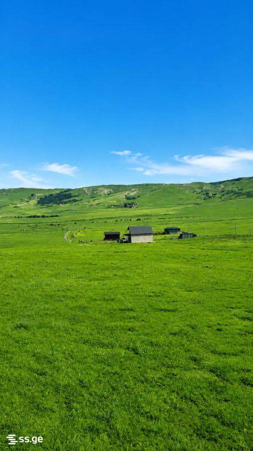 იყიდება მიწა კრწანისიში view 1