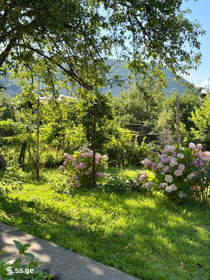 3 Room Private House Daily Rent. Ambrolauri view 9