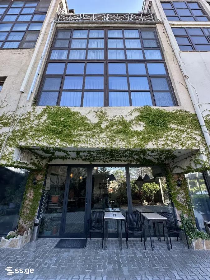 Private House For Rent. Krtsanisi view 1