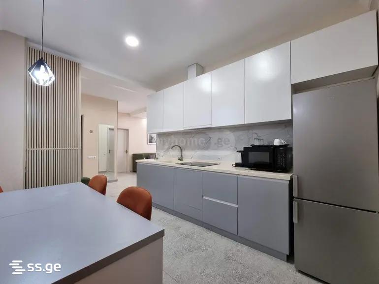 2 room Flat For Rent. Isani - Ansicht 3