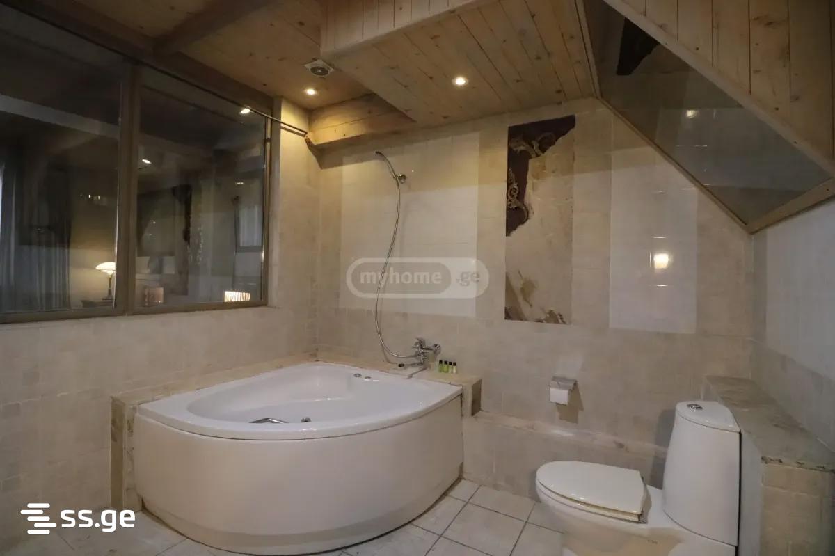 Private House For Rent. Krtsanisi view 12