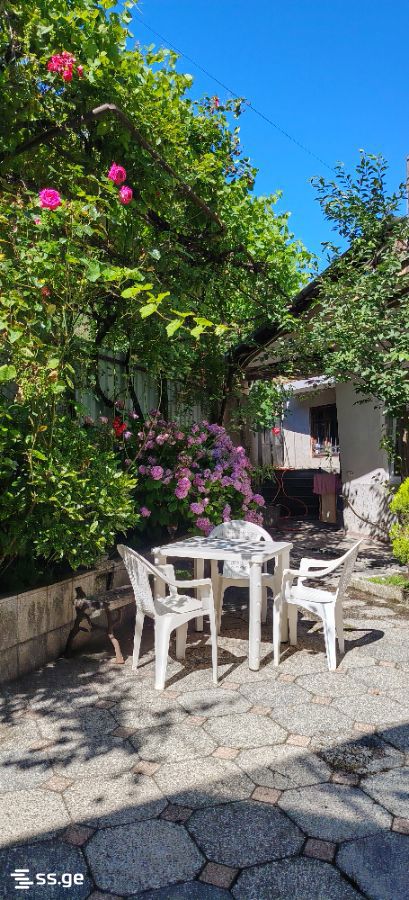 1 Room Private House For Rent. Borjomi view 7