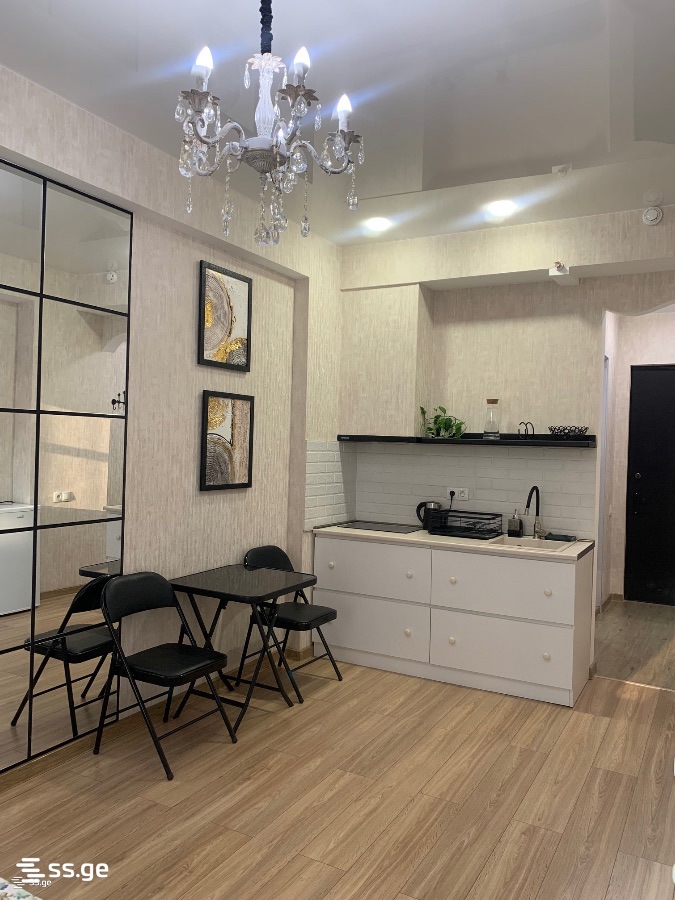 1 room Flat Daily rent. Didi digomi - Widok 2