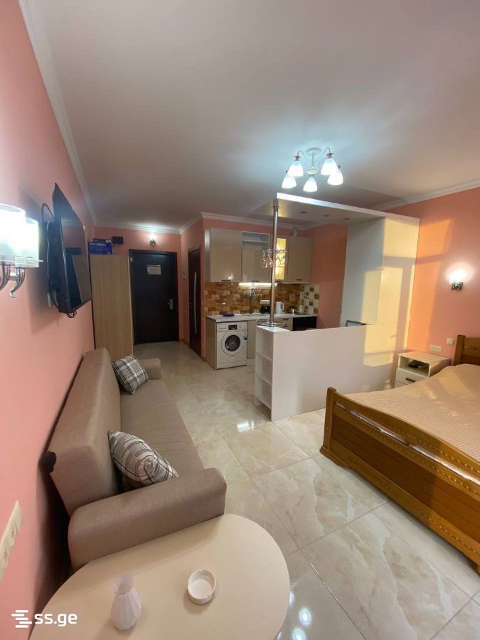 1 room Flat For Rent. Batumi - Aanzicht 5