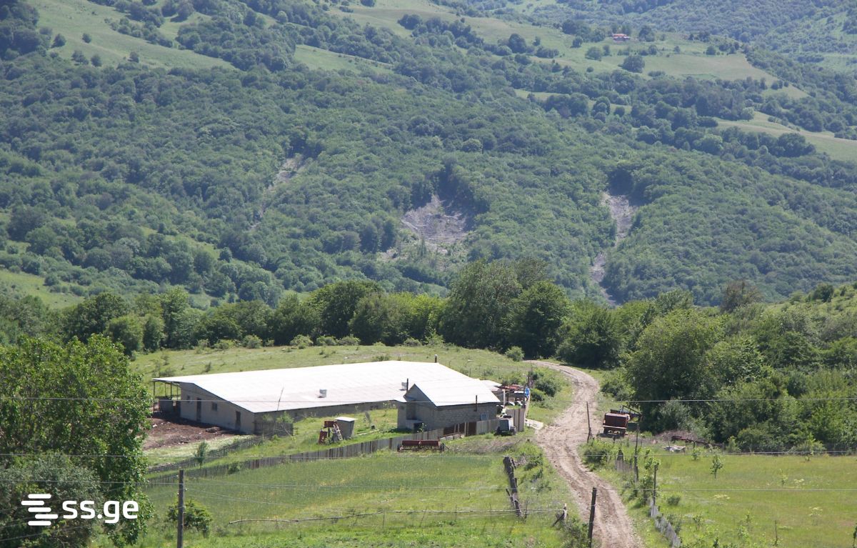 Store-Industrial Property For Sale. Bulachauri view 4