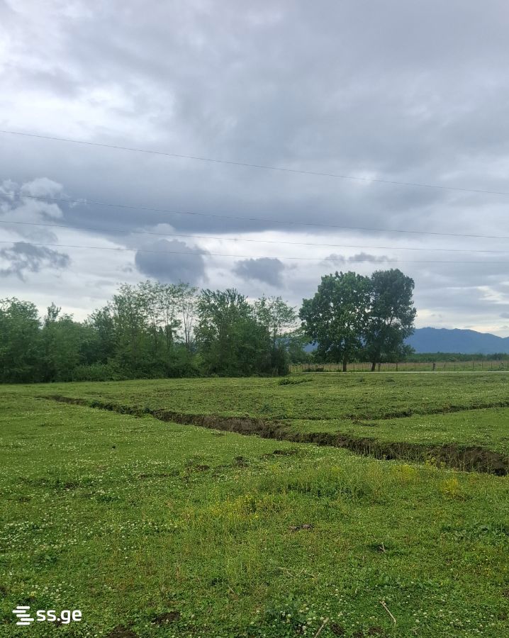 Agricultural Plot For Sale In Samtredia view 7