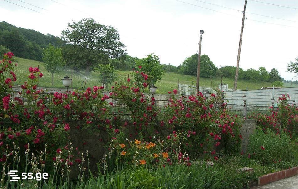 Private House For Sale. Bulachauri view 5