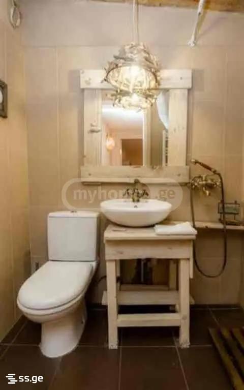 3 room Private House For Rent. Sololaki - Widok 4
