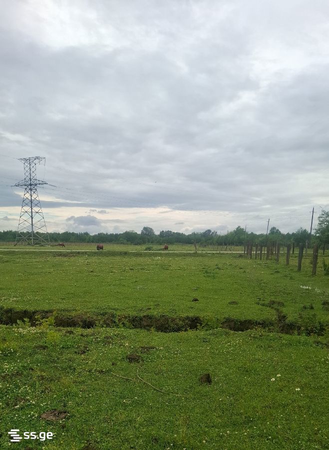 Agricultural Plot For Sale In Samtredia view 5