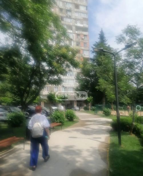 https://static.ss.ge/20260727/2_8ae8f078-a1cc-47fc-9cb1-6a4fa2072e91_Thumb.jpg