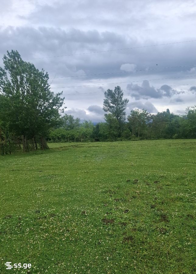 Agricultural Plot For Sale In Samtredia view 6