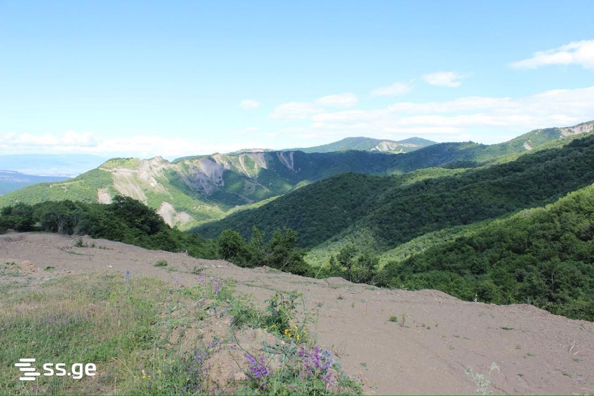 იყიდება მიწა ორბეტიში view 1