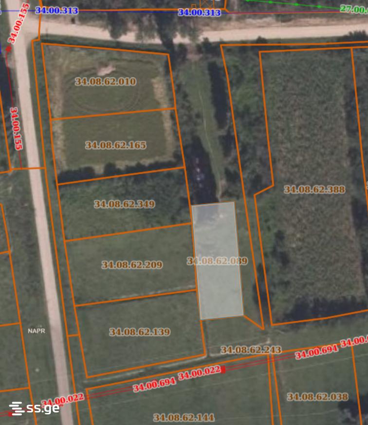 Agricultural Plot For Sale In Samtredia view 8