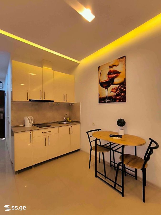 1 room Flat Daily rent. Batumi - Widok 2
