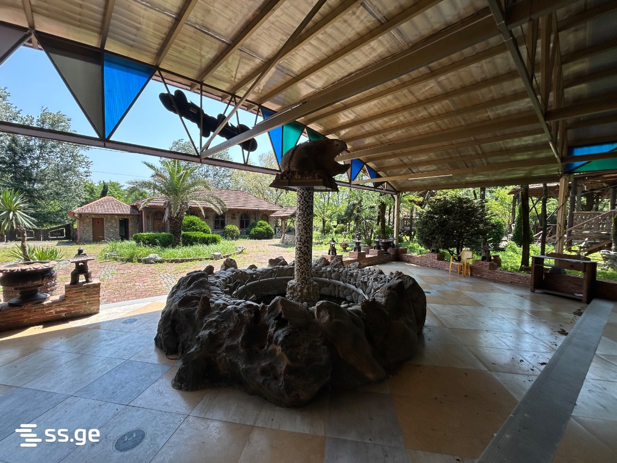 Commercial Space For Sale. Tskaltubo view 6