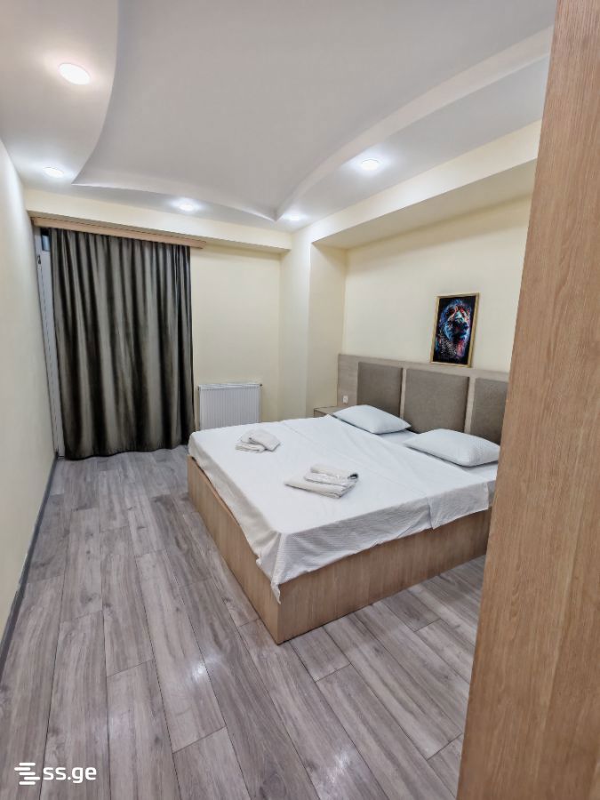 3 room Flat Daily rent. Isani – pohled 3