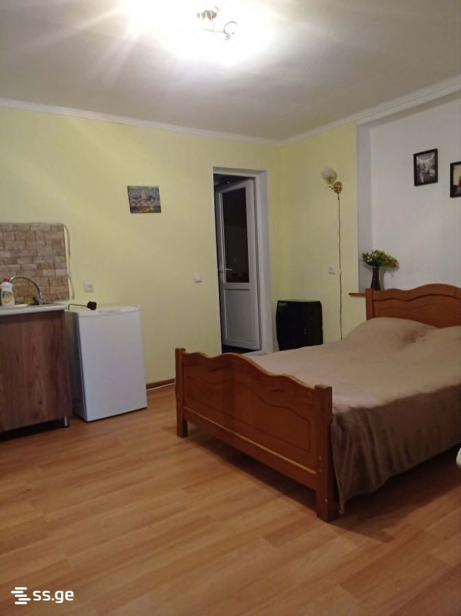 1 Room Private House Daily Rent. Borjomi view 7