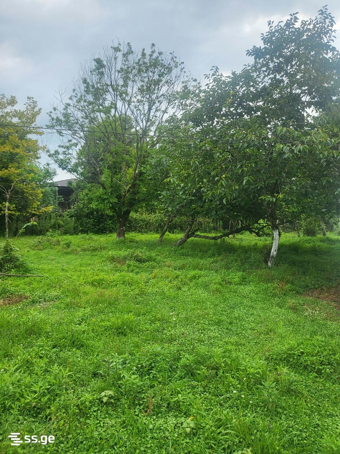 4 Room Summer Cottage For Sale view 4