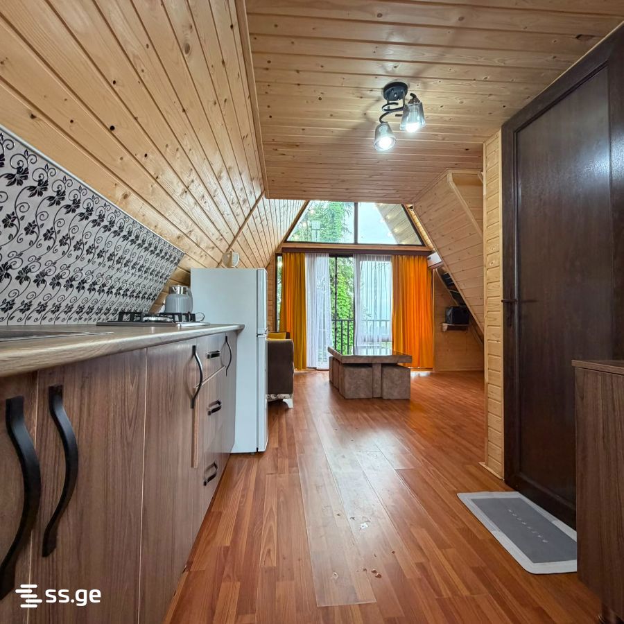 1 Room Summer Cottage Daily Rent. Tsikhisdziri view 12