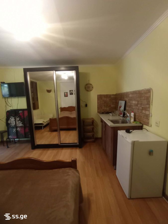 1 Room Private House Daily Rent. Borjomi view 4