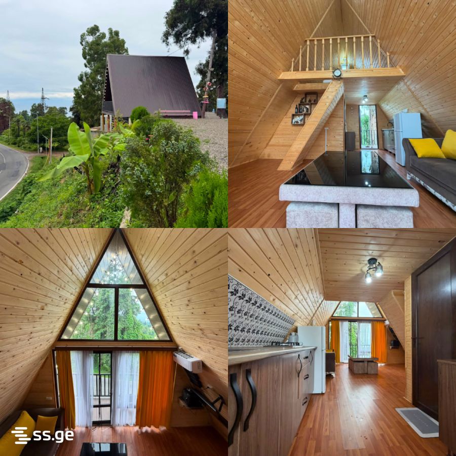 1 Room Summer Cottage Daily Rent. Tsikhisdziri view 9