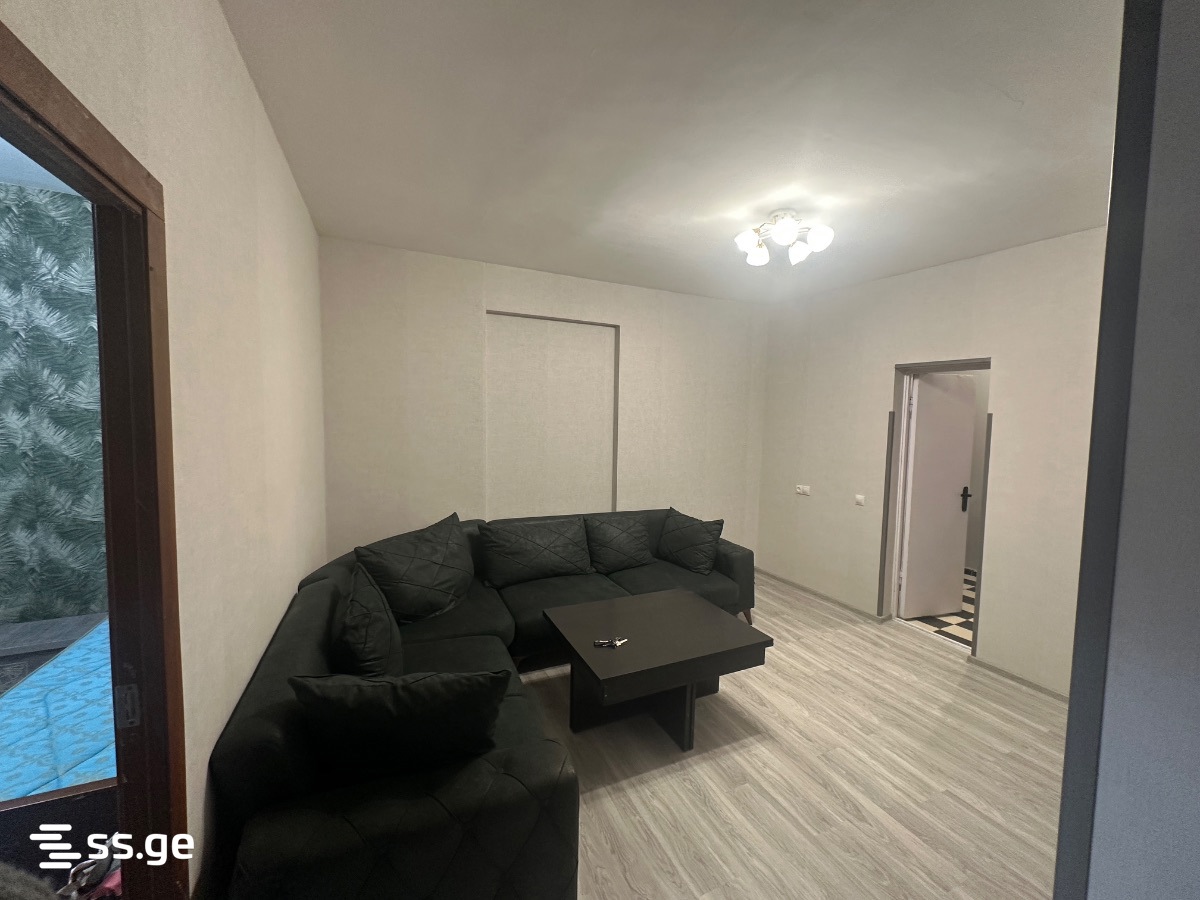2 room Private House For Rent. Nadzaladevi - Aanzicht 2