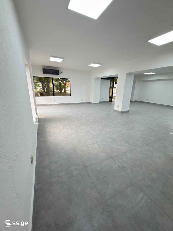 Commercial Space For Rent. Poti view 3
