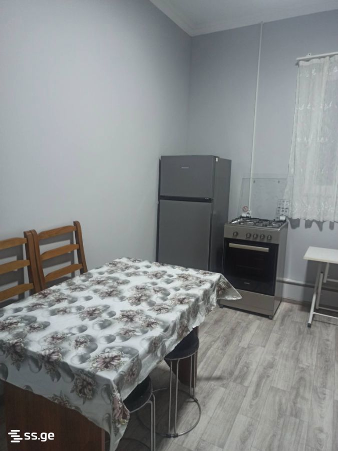 1 Room Private House For Rent. Bakuriani view 2