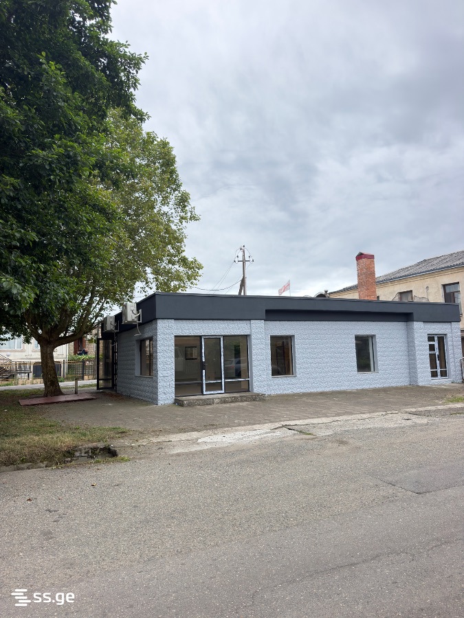 Commercial Space For Rent. Poti view 1