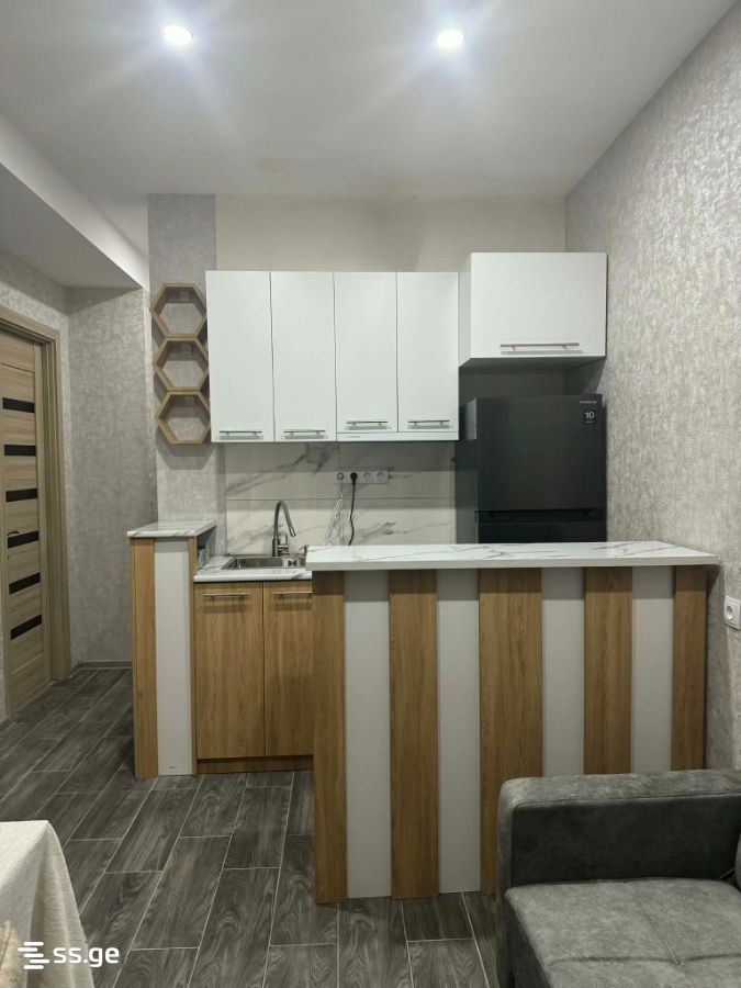 3 room Flat For Rent. Didube - Widok 2