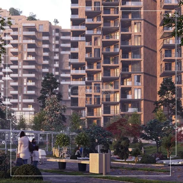 https://static.ss.ge/20260728/7_d49f2a4c-fb44-4ae9-83c4-8c935b439ba2_Thumb.jpg