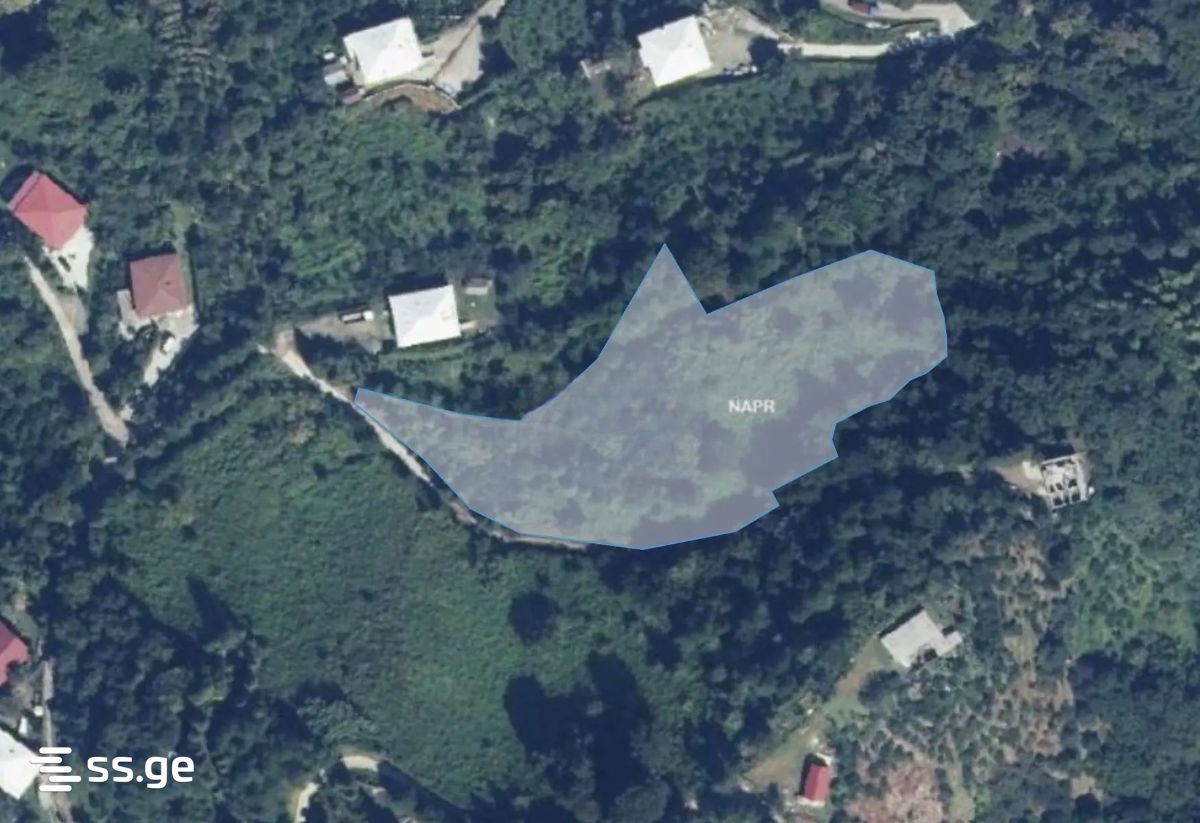 Land For Sale. Kobuleti view 4