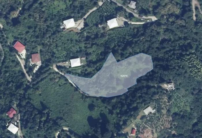 https://static.ss.ge/20260729/0_57e25f1d-5678-4fe6-bf97-d9c5bcf23587_Thumb.jpg