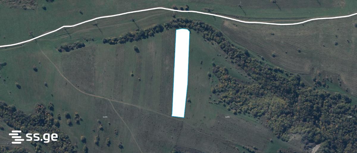 Land For Sale. Orbeti view 3