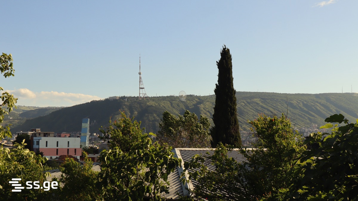 1 Room Private House Daily Rent. Chugureti view 13