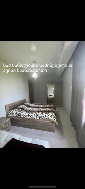 https://static.ss.ge/20260729/12_acd63aba-019d-4018-80fe-50335ff56ae3_Thumb.jpg