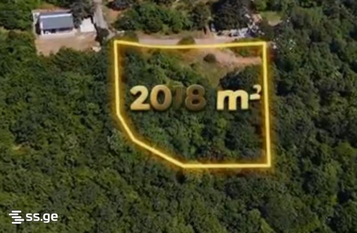 Land For Sale. Kojori view 3