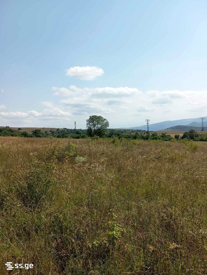 Land For Sale. Orbeti view 2