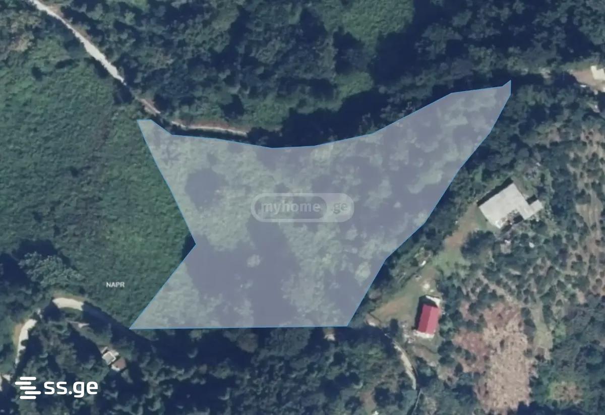 Land For Sale. Kobuleti view 3