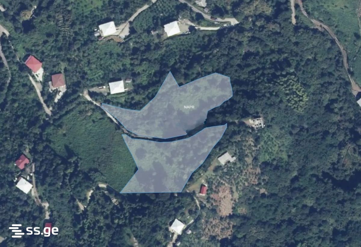 Land For Sale. Kobuleti view 2
