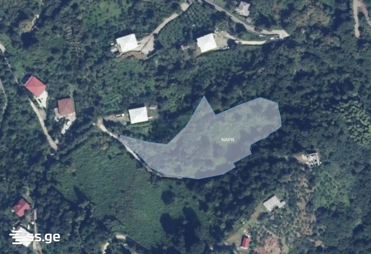 Land For Sale. Kobuleti view 3