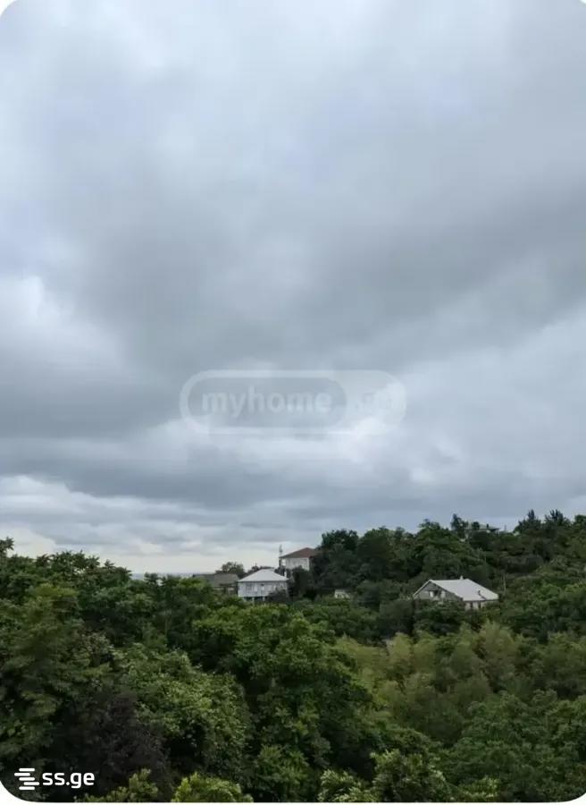 3 Room Private House For Rent. Makhindjauri view 7