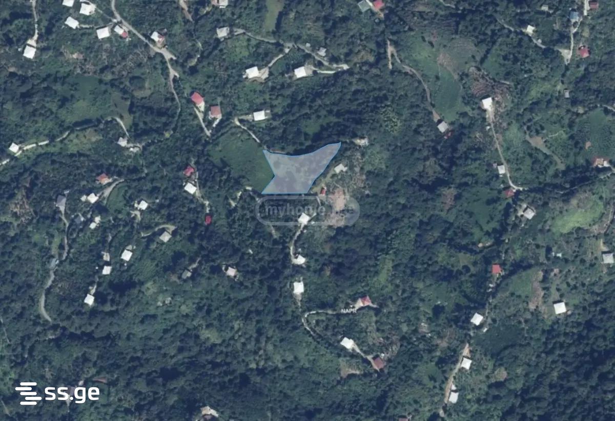 Land For Sale. Kobuleti view 2