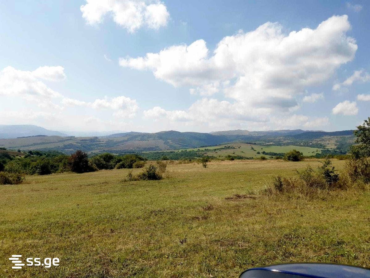 Land For Sale. Orbeti view 1
