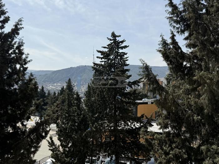 https://static.ss.ge/20260729/7_363cad48-3eda-4eda-bc98-d60014bc20ee_Thumb.jpg